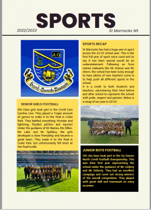 Summer Sports Newsletter