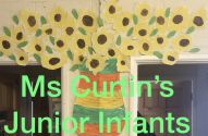 Ms. Curtin